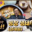 생태맘 생태마을 이미지