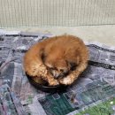 수원-0303 이미지