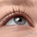 큰사람들 이미지