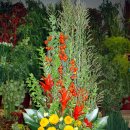 성전2호 이미지