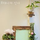 보태니카 이미지