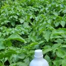 (주)엔에스개발 이미지