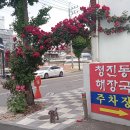 군분로 네이버블로그