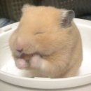 명심감자탕 | 겨울이오면엄청나게춥다.아추웡 그리고 군바잉