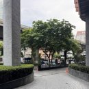 칼튼호텔 | [태국 - 방콕] 칼튼 호텔 방콕 수쿰윗 | 이그제큐티브 트윈룸 후기