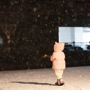 R7 | 시그마 UFO 렌즈를 쓰기 위해 R7 을 구입한 후기