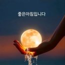도원식당 티스토리