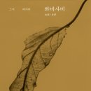 와비사비 이미지