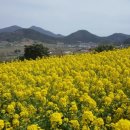 진도 무릉도원 이미지