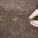 농업인들주유소 이미지