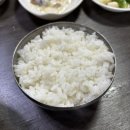 국화신동아 | 부산 자갈치 시장 맛집 경북대구횟집 20년째 단골이 쓰는 내돈내산 후기