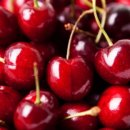 푸드카펫 이미지