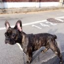 안녕하세요 이미지