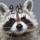 은삼이네 이미지