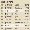 증시 하락률 top 10위 국가 이미지