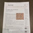 수벌번대기활용＜축산신문기사＞ 이미지