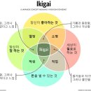 이키가이 이미지