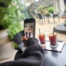 UR(광주광역시)-[저불로]-하-1 | 북구용봉동 황금리브런치 갔다가 피부관리샵 라라퀸샵 과 용봉동카페마당 다녀온 일기