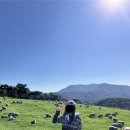 이&장 목장 | 강릉 가족여행 1박 2일 2일차 코스｜최씨장칼국수·강문해변·강릉사임당인절미·대관령양떼목장