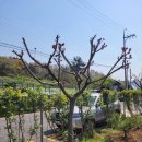 성고농장 이미지