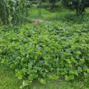 문척초등학교 이미지