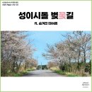 제주 서쪽 봄에 가볼만한 곳, 성이시돌 벚꽃길과 숨겨진 테쉬폰 위치