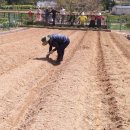 고성농장 이미지