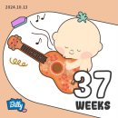[38주3일] 평화롭고 바쁜 만삭임산부 일상 - 여전한 아기만나기 준비✨💘