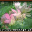 이정숙 이미지