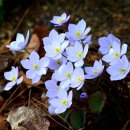 가평군노인복지관-2 이미지