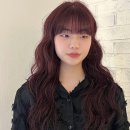 누레터