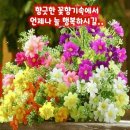 옆집친구라면