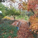 금수산 농원 이미지