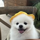 초록카페 이미지