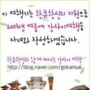 펫 파라다이스(pet paradise) 이미지