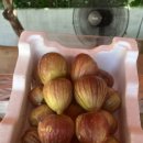 해남가스충전소 이미지