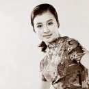 꿈나무수정 이미지