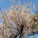 교문중학교 이미지