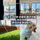 양도로 19번길 | [공지] 김포 실내 애견카페 퍼플러피실내외 운동장에서 힐링하기