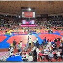 강철 태권도 이미지