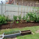 텃밭약국 이미지