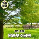 세븐일레븐 의왕레솔레파크점 | 의왕 갈만한곳 왕송호수공원 레솔레파크, 여름 나들이 한눈에 보기