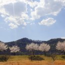 도요마을 이미지