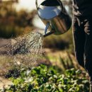 온천농장 이미지