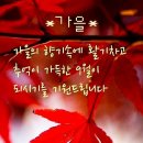 엊저녁 축구~ 이미지