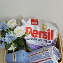 라벤더크리닝 이미지