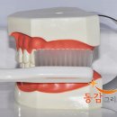 동감치과의원 이미지