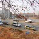 서달로 이미지