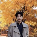 헬리코박터균 이미지