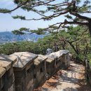 도성식당 | 서울 북악산 수려한 경관, 가볍게 걷기 좋은 한양도성 성곽길 코스 후기